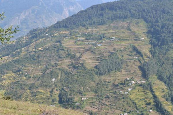 Milam Inn Munsyari Bagian luar foto